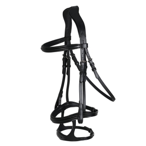 Bridle