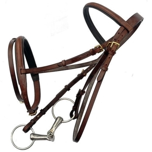 Bridle