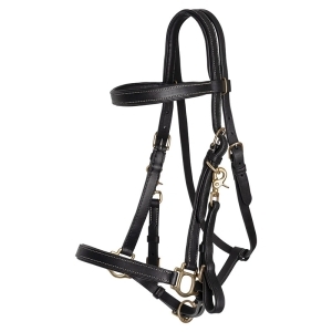 Bridle