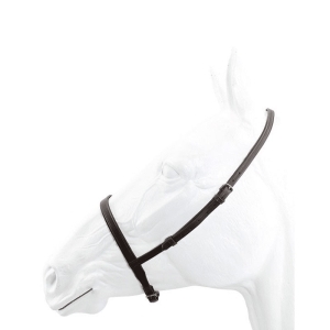 Nose Band