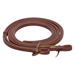 Reins