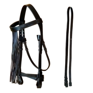 Spanish Bridle