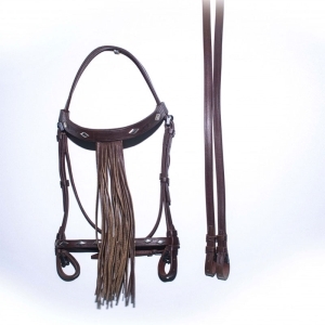Spanish Bridle